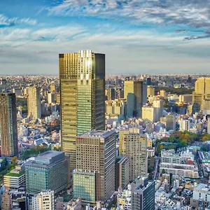 The Ritz-carlton, Japan